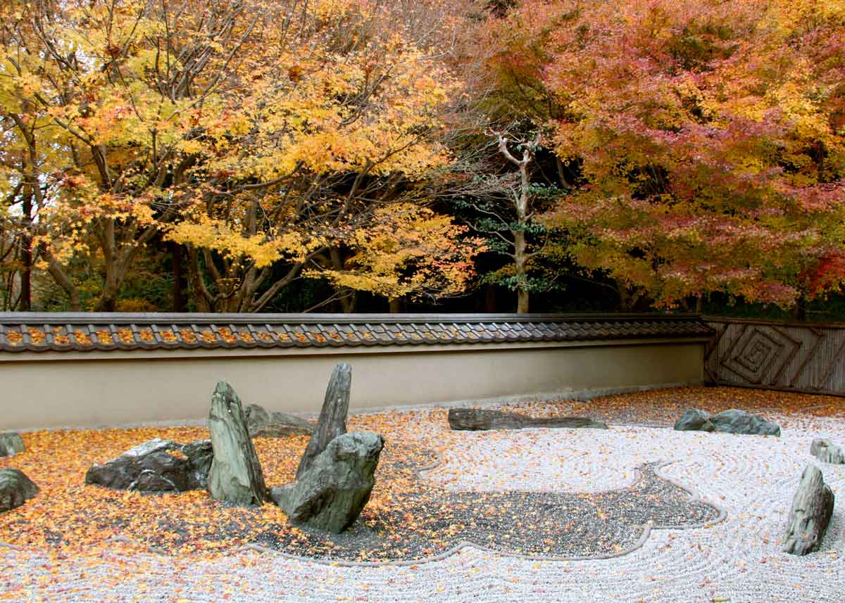 6 Types of Landscapes